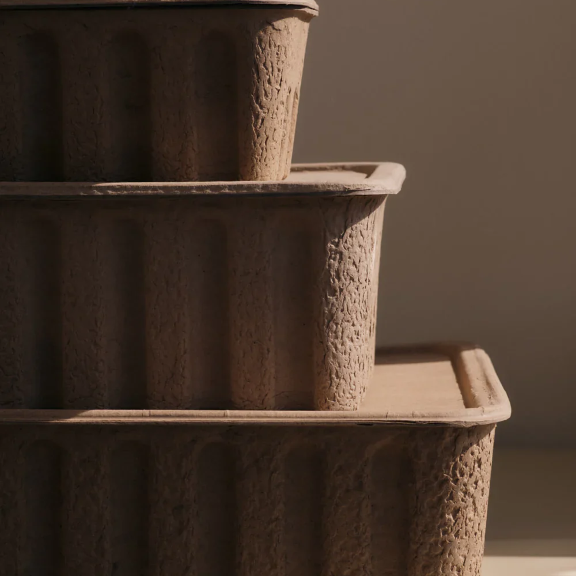BOX PAPERPULP (2ER SET)